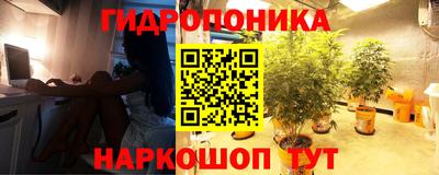твердый Лесосибирск